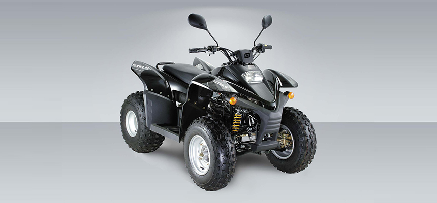 Stels ATV 100 RS